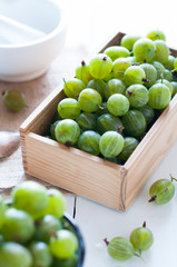 Fresh ripe green gooseberry