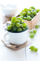 Fresh ripe green gooseberry