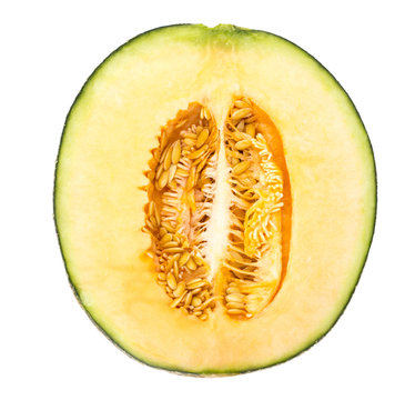 melon fruit slice