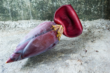 Banana Bud or  banana blossom in local market It is an edible pa