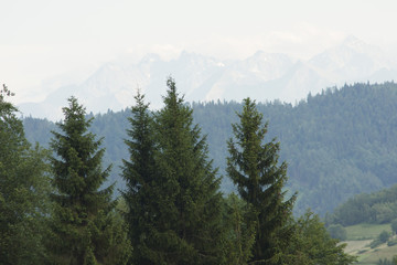 Fototapeta premium Widok na doline potoku Jamne i szczyty Tatr, Ochotnica Górna, PL