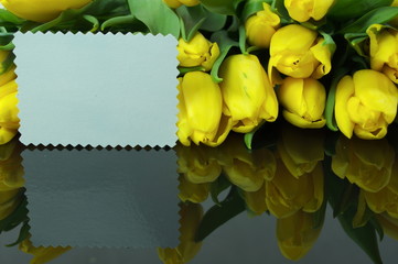tulipany z dedykacją - obrazy, fototapety, plakaty