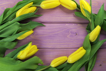 tulipany w fiolecie