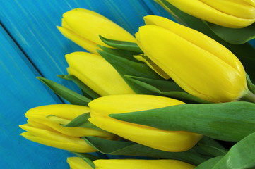 tulipany na niebieskim tle - obrazy, fototapety, plakaty