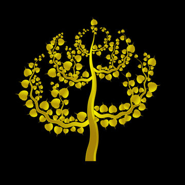 Golden Boh tree