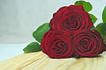 czerwone róże © saltare