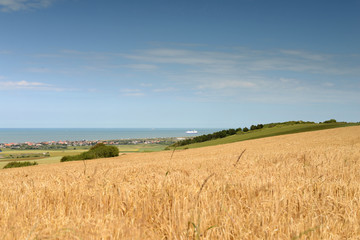 chemin dans les champs