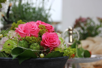 Rose Blumen
