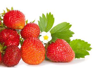 Fresh red strawberries isolated on white. 