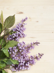 Lilac flowers on a wooden surface.