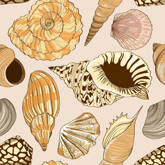 Seamless pattern of seashells