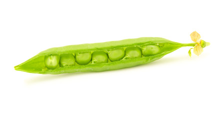 Pea pod isolated