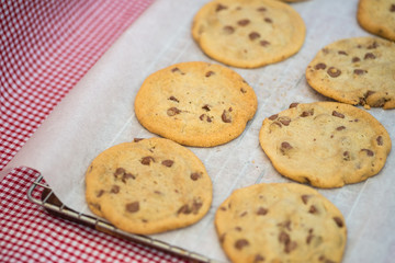 Beautiful fresh hand made chocolate chip cookies