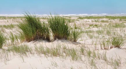 Northsea - Borkum