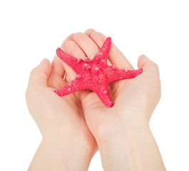 Beautiful starfish in the palms