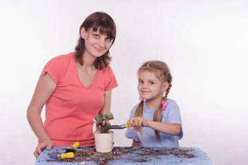 Daughter pours ground in a pot with potted flower