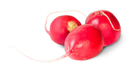 Three Fresh Radishes