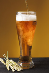 glass of beer on a yellow background