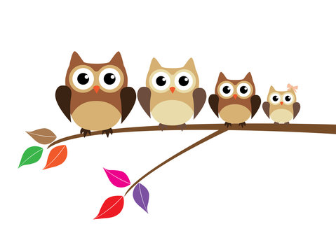 vector owl family