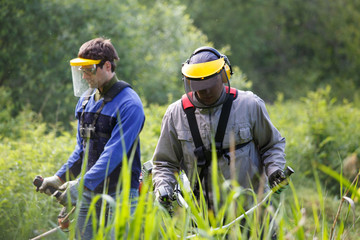 Men working with grass trimmer