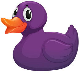 A purple rubber duck