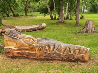 Fototapeta na wymiar Detail of wooden sculpture dragon head in children playground,