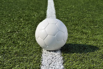 Soccer ball on a soccer field