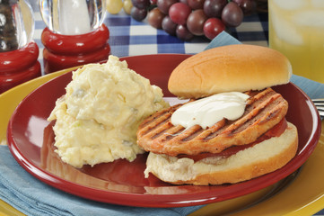 Salmon burger on a picnic table