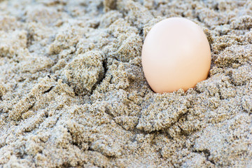 Egg at sand beach