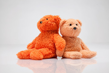 teddy bear on a white background