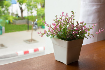 Flower pot by the window
