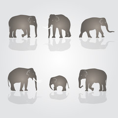 set of vector simple elephants eps10