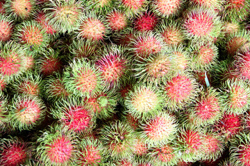 Fototapeta premium Fresh rambutan fruits.