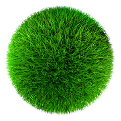 Green grass ball. Isolated on white.