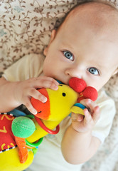 baby biting a toy
