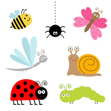 insect set. Ladybug dragonfly butterfly caterpillar spider snail