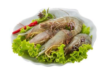 Raw tiger shrimps