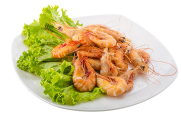 Big tiger shrimps