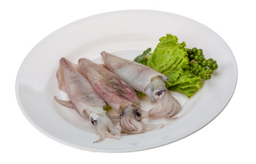 Raw calamari