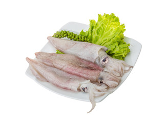 Raw calamari