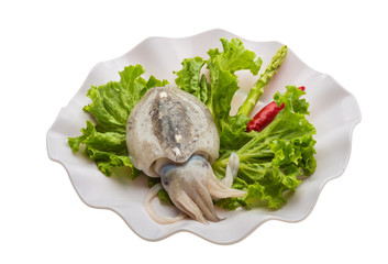 Raw cuttlefish