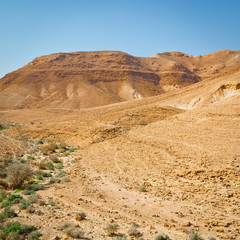 Negev Desert