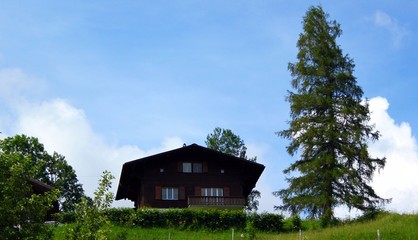 Hütte in den Bergen