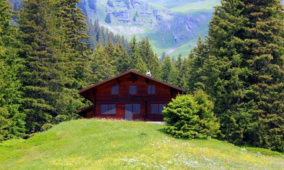 Fototapeta premium Hütte in den Bergen