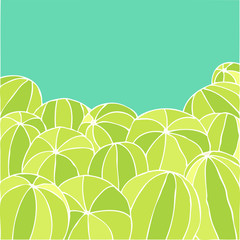 watermelon pattern, vector illustration, hand drawing