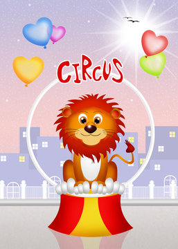 funny lion in the circus