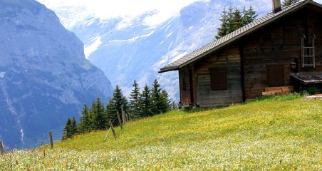 Fototapeta premium Hütte in den Bergen