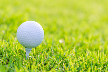 Golf ball on green grass
