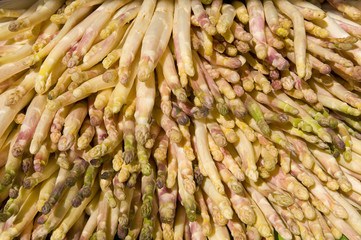 White asparagus in an Italian market.