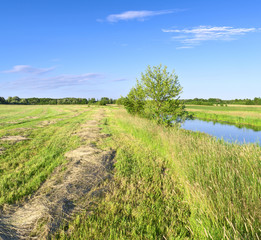 Haymaking. Summer evening in Central Russia